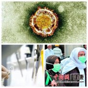 MERS進(jìn)行時(shí)，冠狀病毒到底有多可怕？